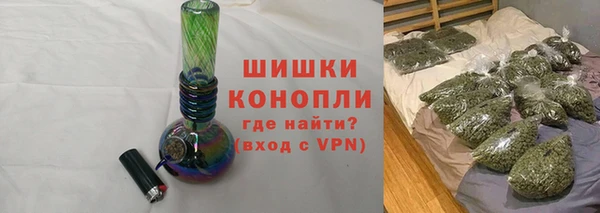 индика Бронницы