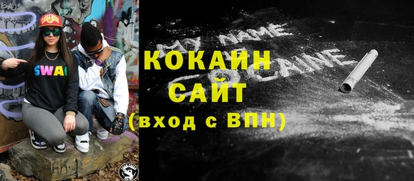 стаф Сосновый Бор
