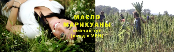 дмт Ладушкин