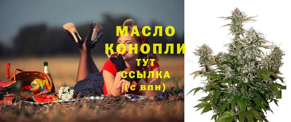 дмт Ладушкин