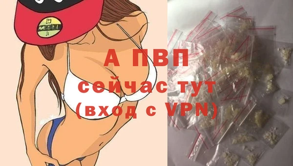 дмт Ладушкин