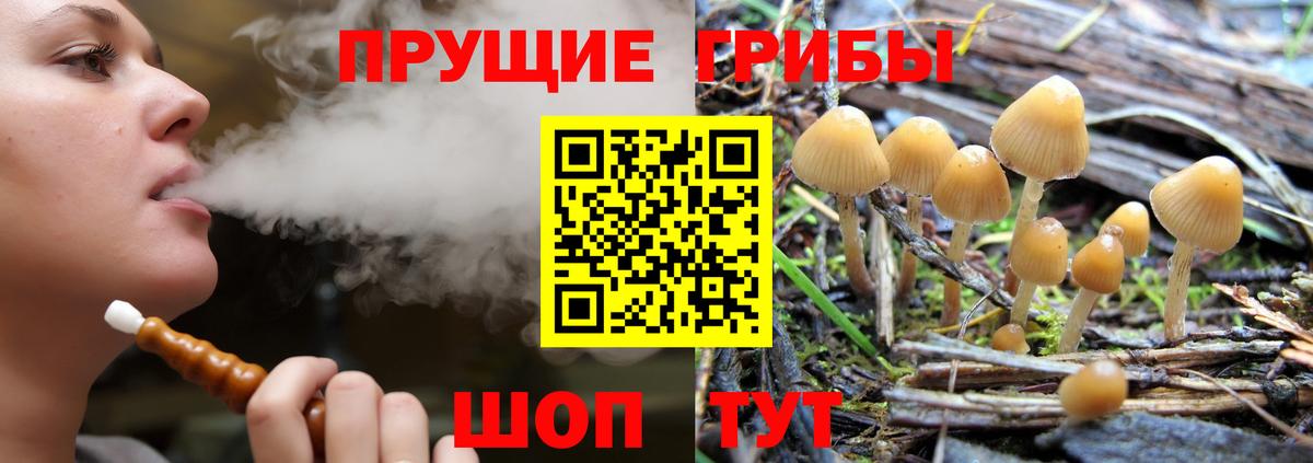 Галлюциногенные грибы MAGIC MUSHROOMS  Вход с VPN  Серов 
