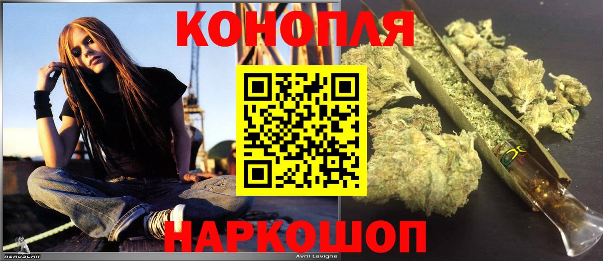 Канабис сатива Серов